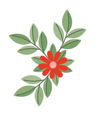 kırmızı çiçekli dal