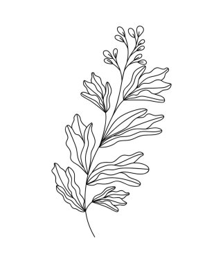 Klasik şube simgesi