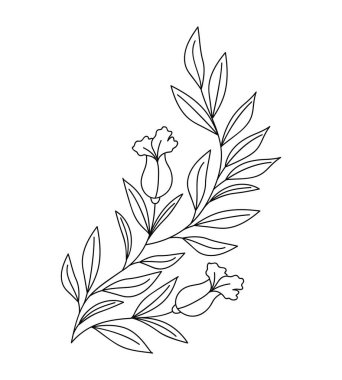 oldukça klasik bir dal.