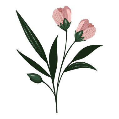 pembe gül tasarımı