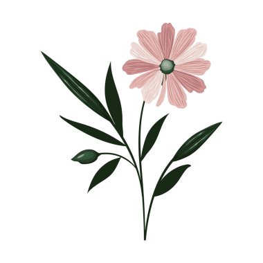 pembe çiçek tasarımı