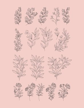 bitki dalları kuruldu