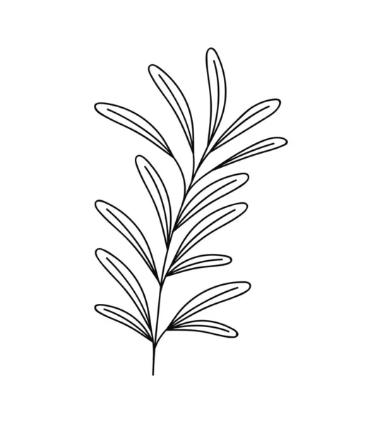 Illustration de branche végétale — Image vectorielle