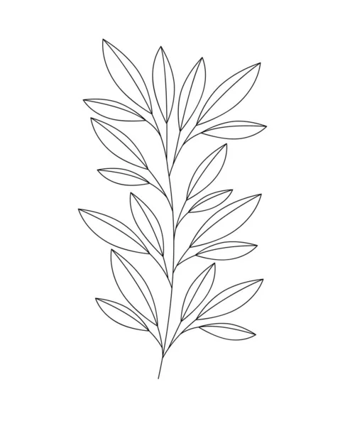 Красивая ветвь растения — стоковый вектор