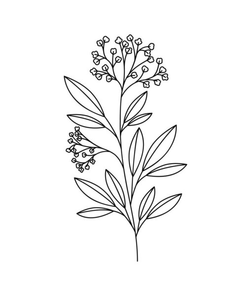 Diseño de rama de planta — Vector de stock