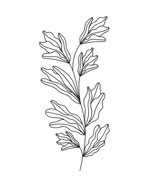 Plant branch image — ストックベクタ