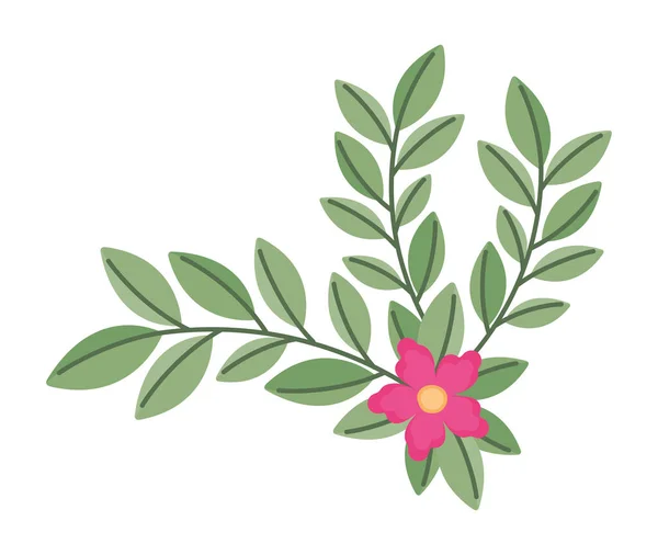 Gren med rosa blomma — Stock vektor