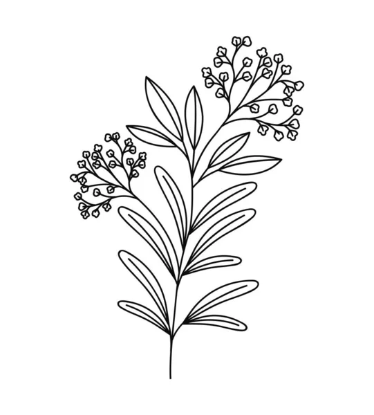 かわいい植物の枝 — ストックベクタ