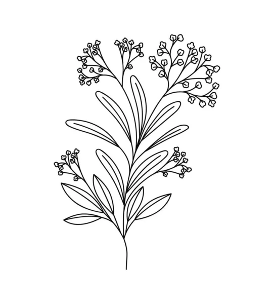 植物分支图标 — 图库矢量图片