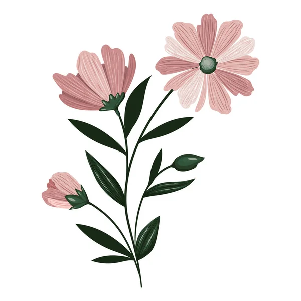 Pembe çiçekler illüstrasyon — Stok Vektör