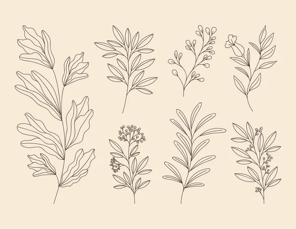 Seven plants flowers — Stockvector