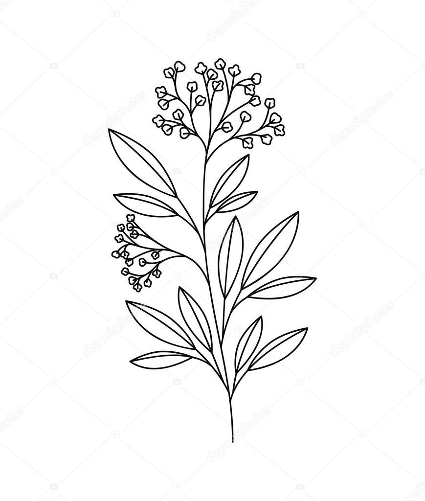 plant branch design