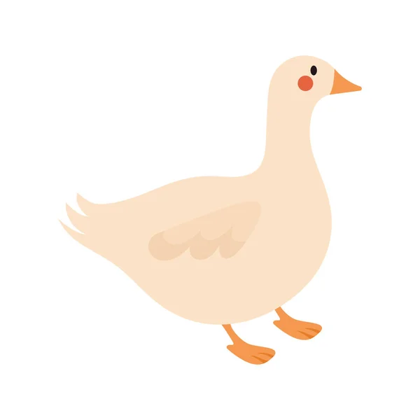 Roztomilý kachní design — Stockový vektor