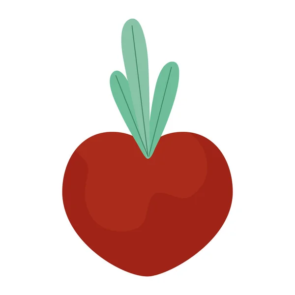 Red turnip design - Stok Vektor