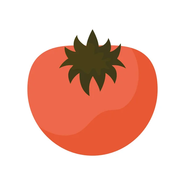 Red tomatoe illustration — стоковый вектор