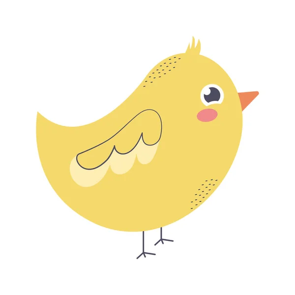 Cute chick illustration — Stok Vektör