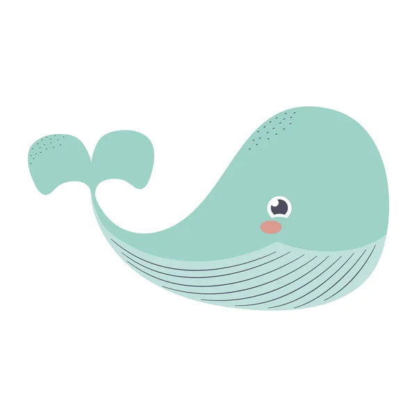 蓝鲸的插图 — 图库矢量图片
