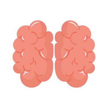 İnsan beyni tasarımı