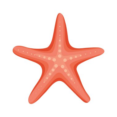 kırmızı denizyıldızı tasarımı