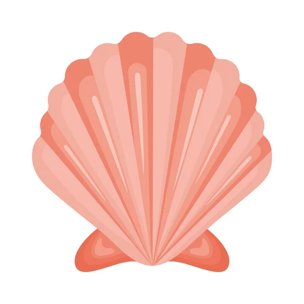 Pink seashell design — Stockvektor