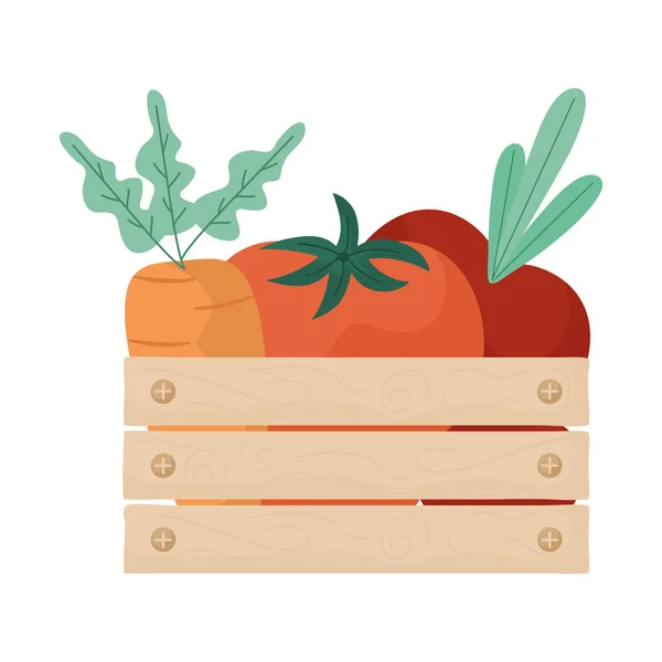 Vegetables basket design — ストックベクタ