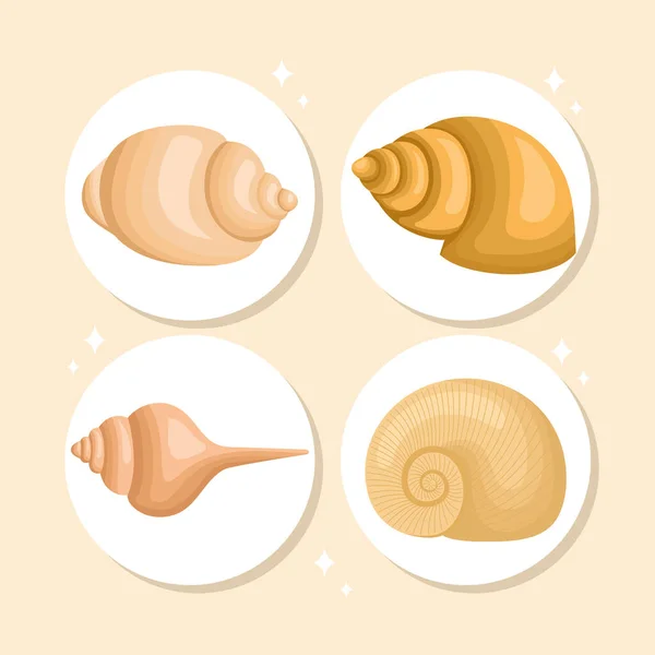 Four engraved seashell —  Vetores de Stock