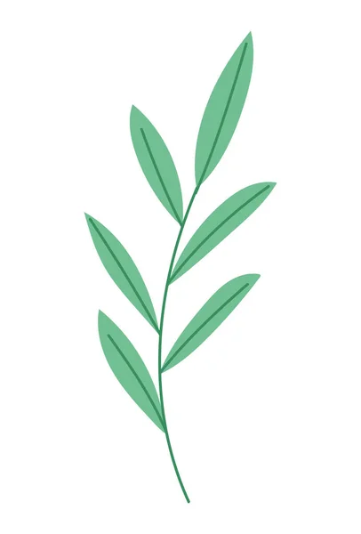 Grandes feuilles sur une tige — Image vectorielle