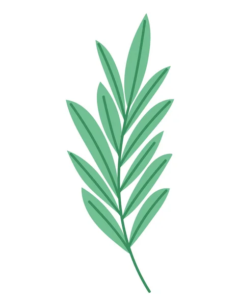 绿色的叶子，茎上 — 图库矢量图片
