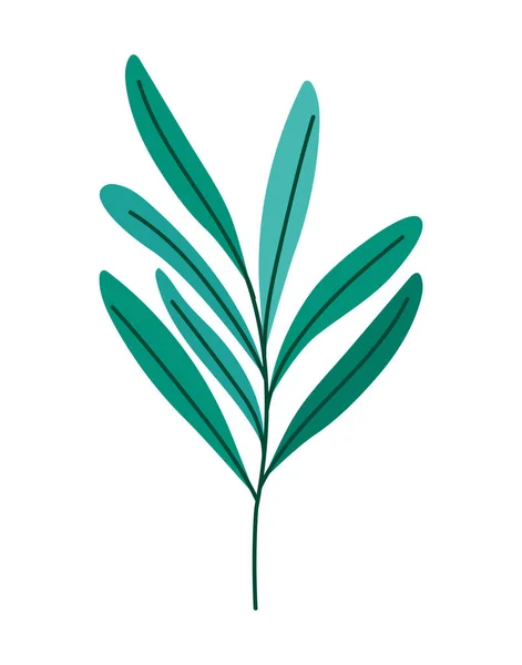 Větev zelených listů — Stockový vektor