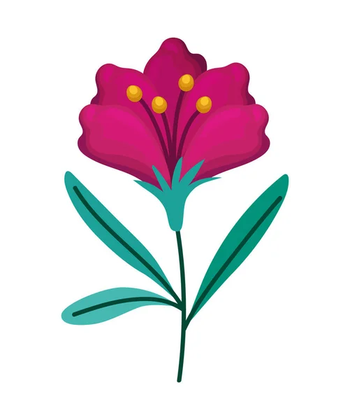 Pembe çiçek tasarımı — Stok Vektör
