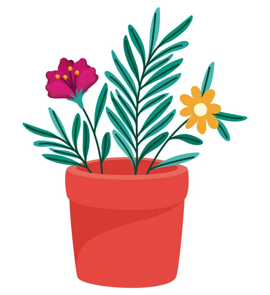 saksıdaki çiçekler