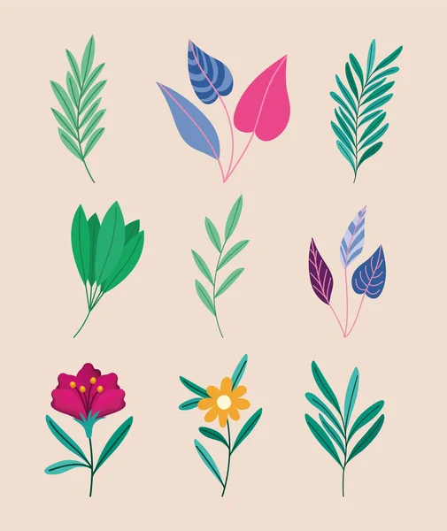 Nine plants designs — Διανυσματικό Αρχείο