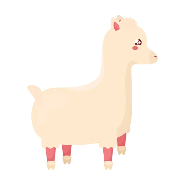 Kawaii alpaca design — стоковый вектор