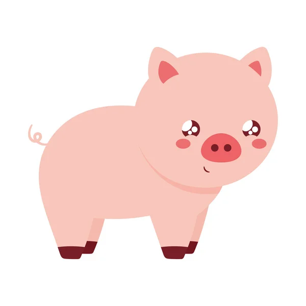 Kawaii pig design — Stock Vector