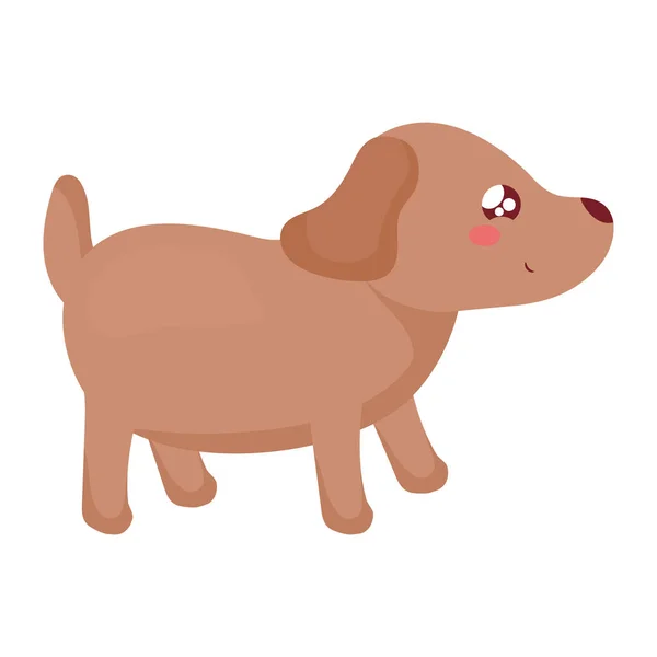 Diseño de perro kawaii — Vector de stock