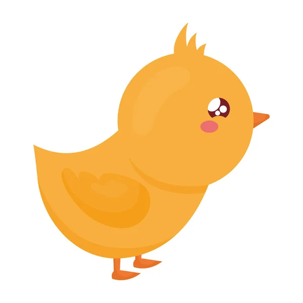 Kawaii chick design — Vector de stock