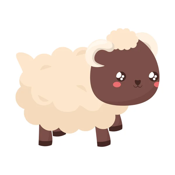 Kawaii sheep design — Stockvektor