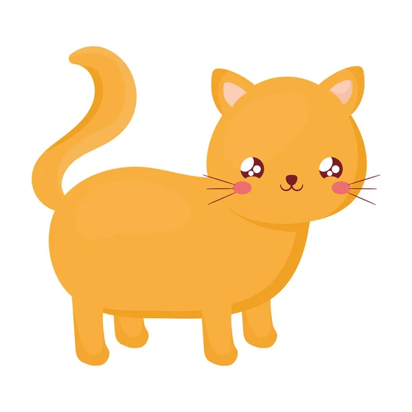 Kawaii cat design — Vector de stock