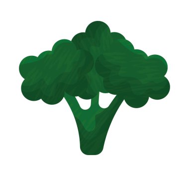 broccoli plant design