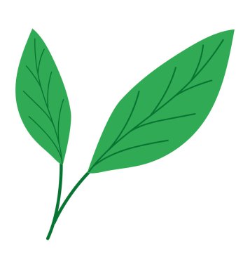 beyaz üzerinde iki yaprak tasarımı