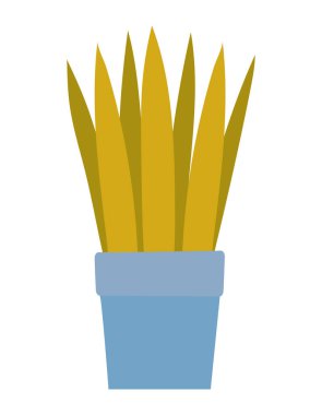 Beyazın üzerinde saksı