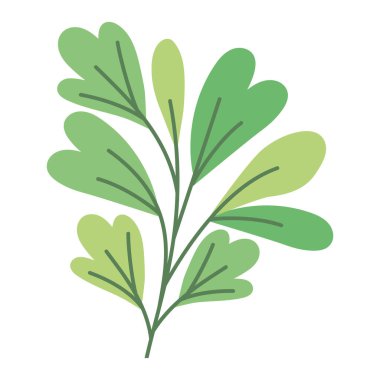 beyaz yerine renkli bitki tasarımı