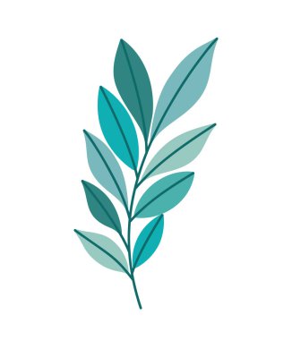 Beyaz yapraklı kök