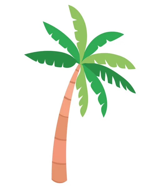 Playa Palmera Ilustración Sobre Blanco — Vector de stock