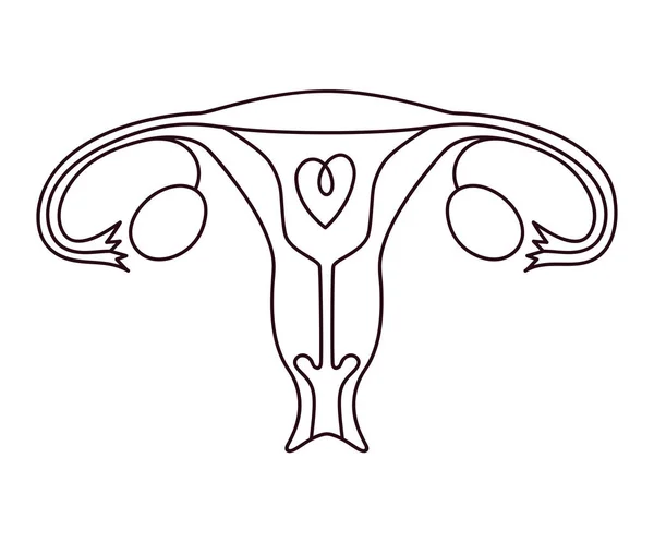 Rosa Gebärmuttersymbol Über Weiß — Stockvektor