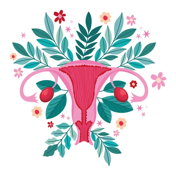 ピンクの子宮のイラストと植物 — ストックベクタ