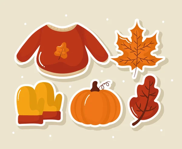 Set Five Autumn Items — Stock Vector