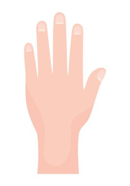 Bir el beyaz üzerine dizayn