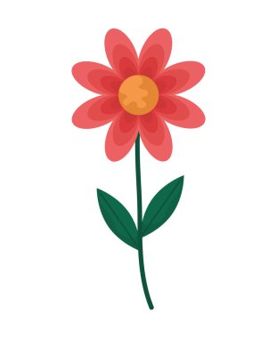 Beyaz yerine tatlı kırmızı çiçek.