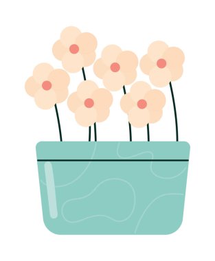 Çiçekler yeşil tencerede beyazda